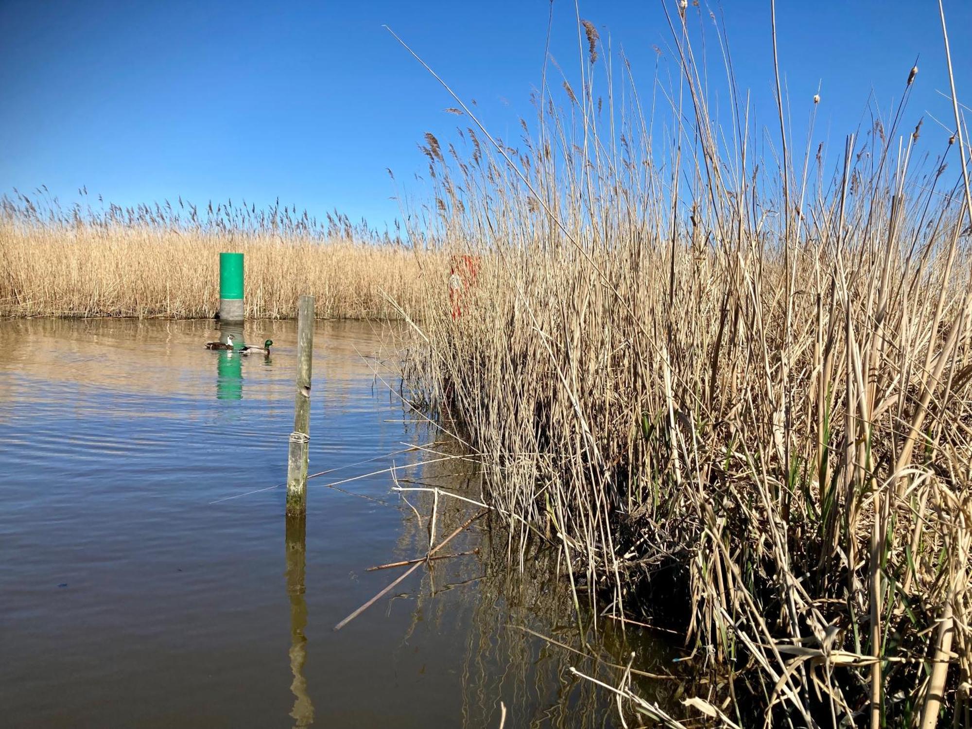 House Marijke With Winter Garden And Direct Access To The Lauwersmeer Anjum Eksteriør billede