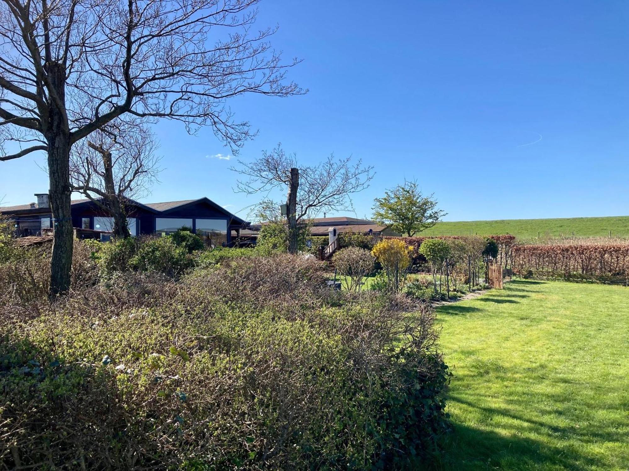 House Marijke With Winter Garden And Direct Access To The Lauwersmeer Anjum Eksteriør billede